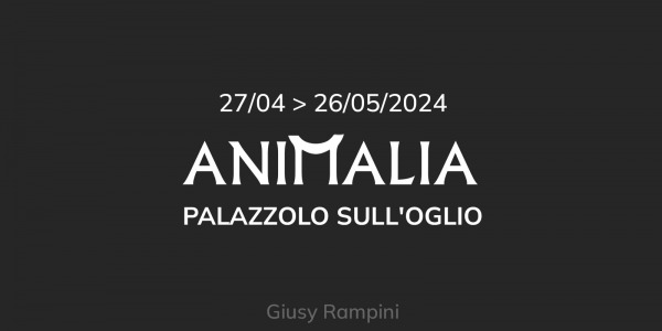 Animalia - from 27/04 to 26/05/2024 - Palazzolo s/O